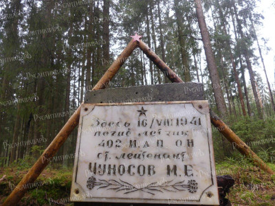 2.без подписи.JPG