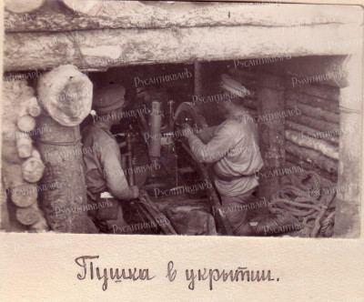 80_Пушка в укрытии.jpg