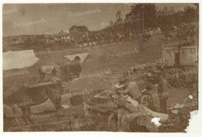 Scan10477.jpg
