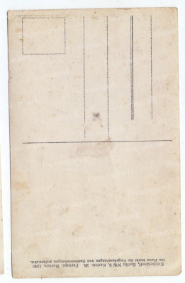 31b.jpg