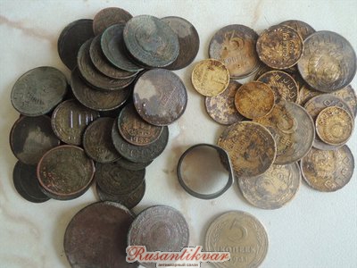 3B5BADBD[1].jpg