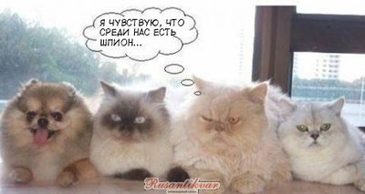 x_827f122d[1].jpg