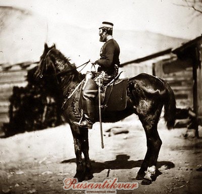 Quartermaster-Dragoons-Light-horse.jpg