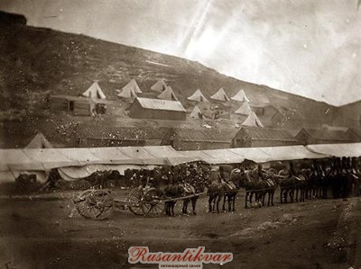 artillery-train-horse-Field.jpg