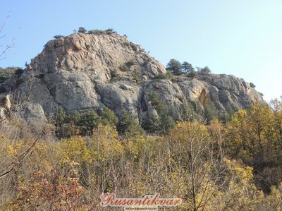 3CA2224A[1].jpg