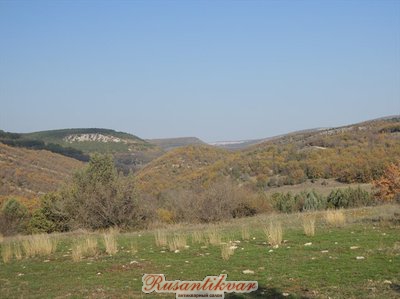 5A9B522C[1].jpg