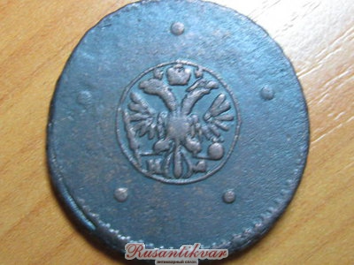 7359864.jpg
