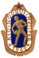 Знак "Чемпион ДСО"Норус" 1960 г."