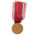 Италия. Медаль " В память открытия госпиталя в Варесе".