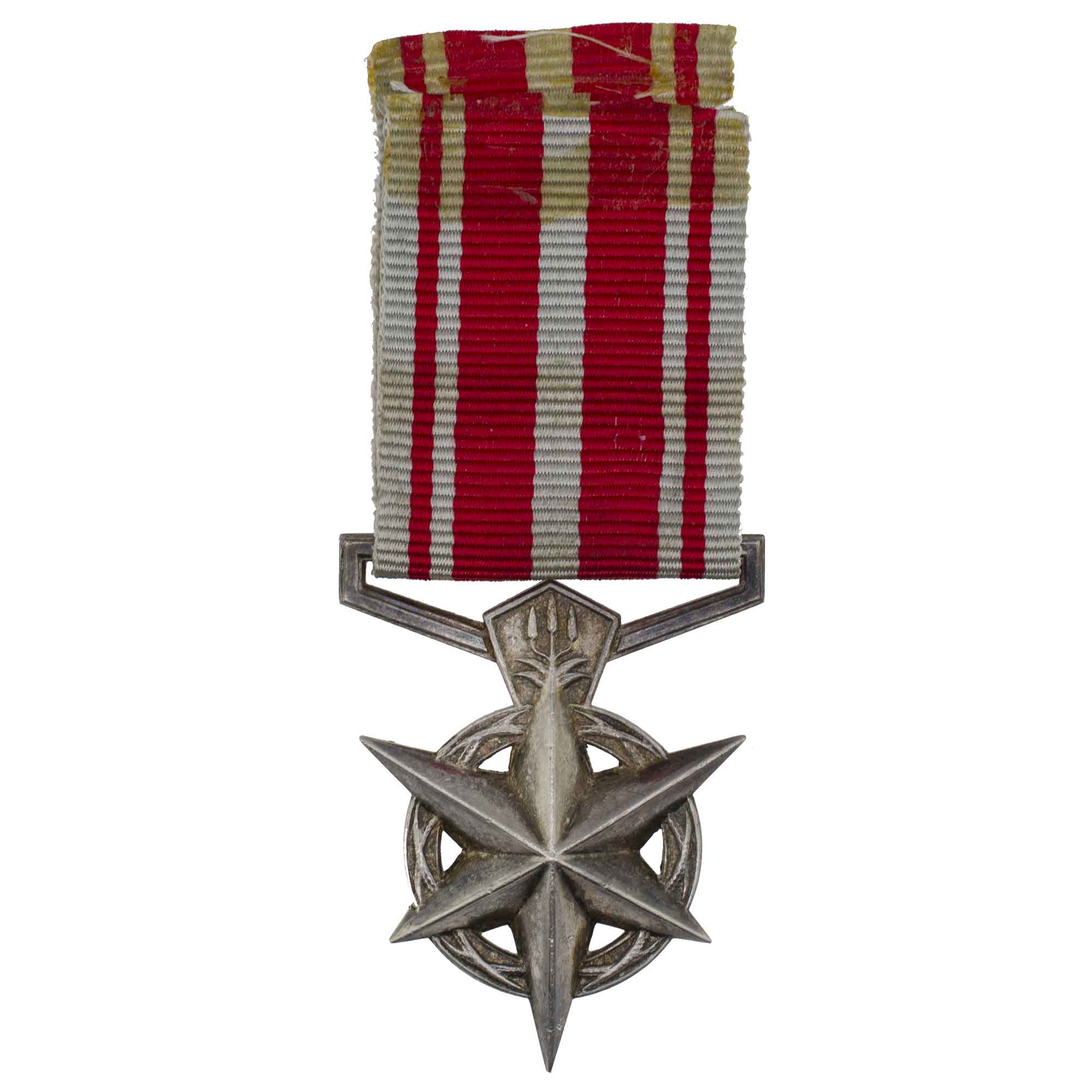 ЮАР.  Медаль полиции "За борьбу с терроризмом". № S609.547T.