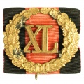 Знак отличия за 40 лет (XL) беспорочной службы для гражданского чиновника . 