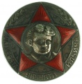 Знак "Октябрята внучата Ильича"