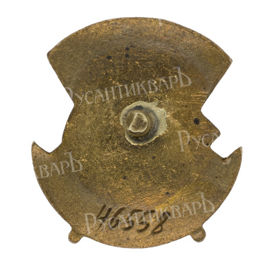 Знак "Отличнику здравоохранения" № 46.558 АРТИКУЛ Питра