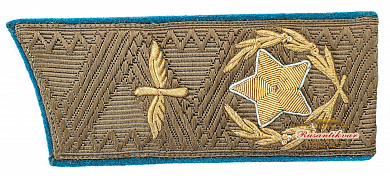 Погон на повседневный китель Главного Маршала авиации Вершинина К.А. и удостоверение