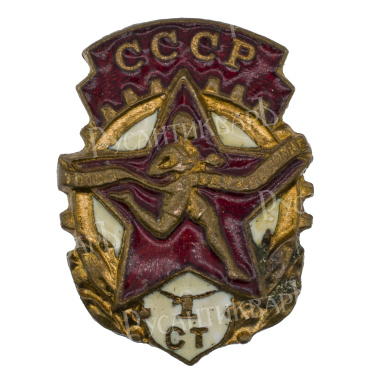 Знак Комплекса ГТО 1-й ступени, АРТИКУЛ Прроолро