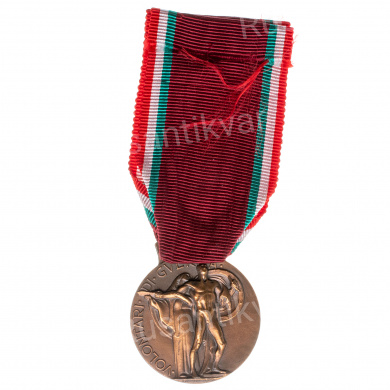 Италия. Почетная медаль итальянских добровольцев 4 тип.