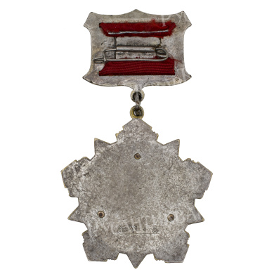 Афганистан. Орден "Дружба Народов" № 5.305.