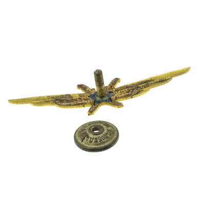 Знак военного лётчика, АРТИКУЛ Паегопт 