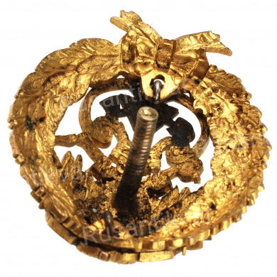 Знак об окончании Института гражданских инженеров (ИГИ).