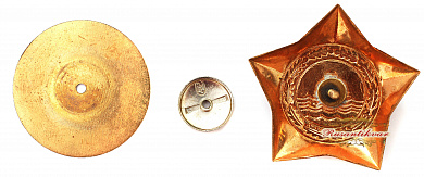 Знак "Заслуженный пожарник Эстонской ССР 2 класса"