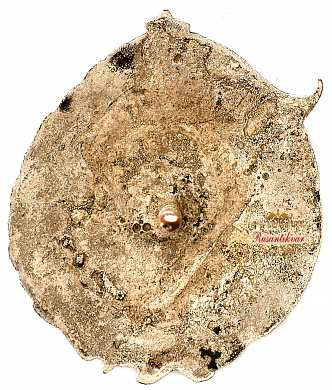 Знак" Лучшему ударнику ПСРПЖКС"