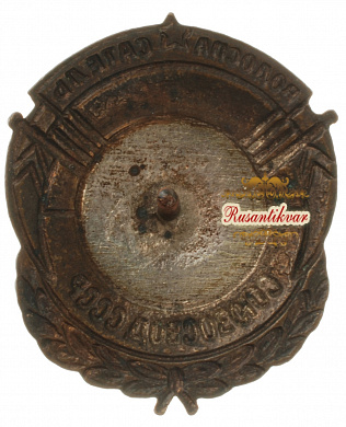 Знак "Водоспасатель СОЮЗОСВОД СССР"