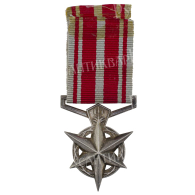 ЮАР.  Медаль полиции "За борьбу с терроризмом". № S609.547T.