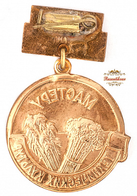 Знак "Мастеру технических культур"