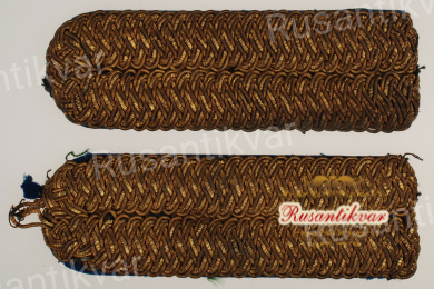 Погоны чиновника Мин.просвещения кабинета ЕИВ РИ