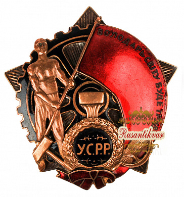 Украина. Орден Трудового Красного Знамени Украинской ССР № 359 с документами.