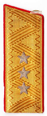 Погон генерал-полковника (мягкий) обр.1955 г.