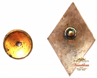 Знак "Водитель 1 класса"