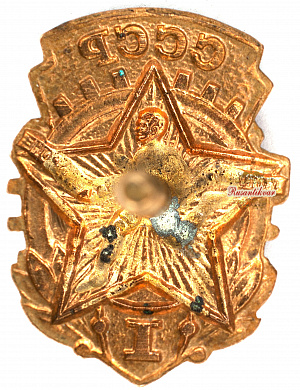 Знак "ГТО I степень"