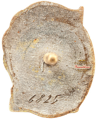 Знак "Отличник социалистического соревнования Наркомцветмет СССР" №6825